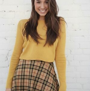 Brandy Melville Mustard Yellow "Francesca" Cropped Knit Sweater